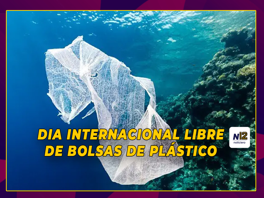 Reciclaje: eliminar bolsas de plástico, sin 'demonizar' el material